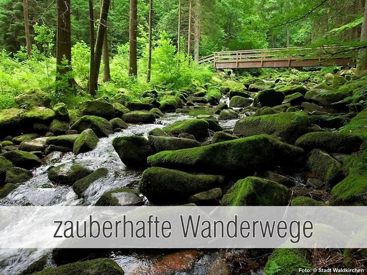 Holiday home Huette41: Ganze Huette Nah Am See Mit Privatem Whirlpool, Sauna. Umzaeunt. Waldkirchen