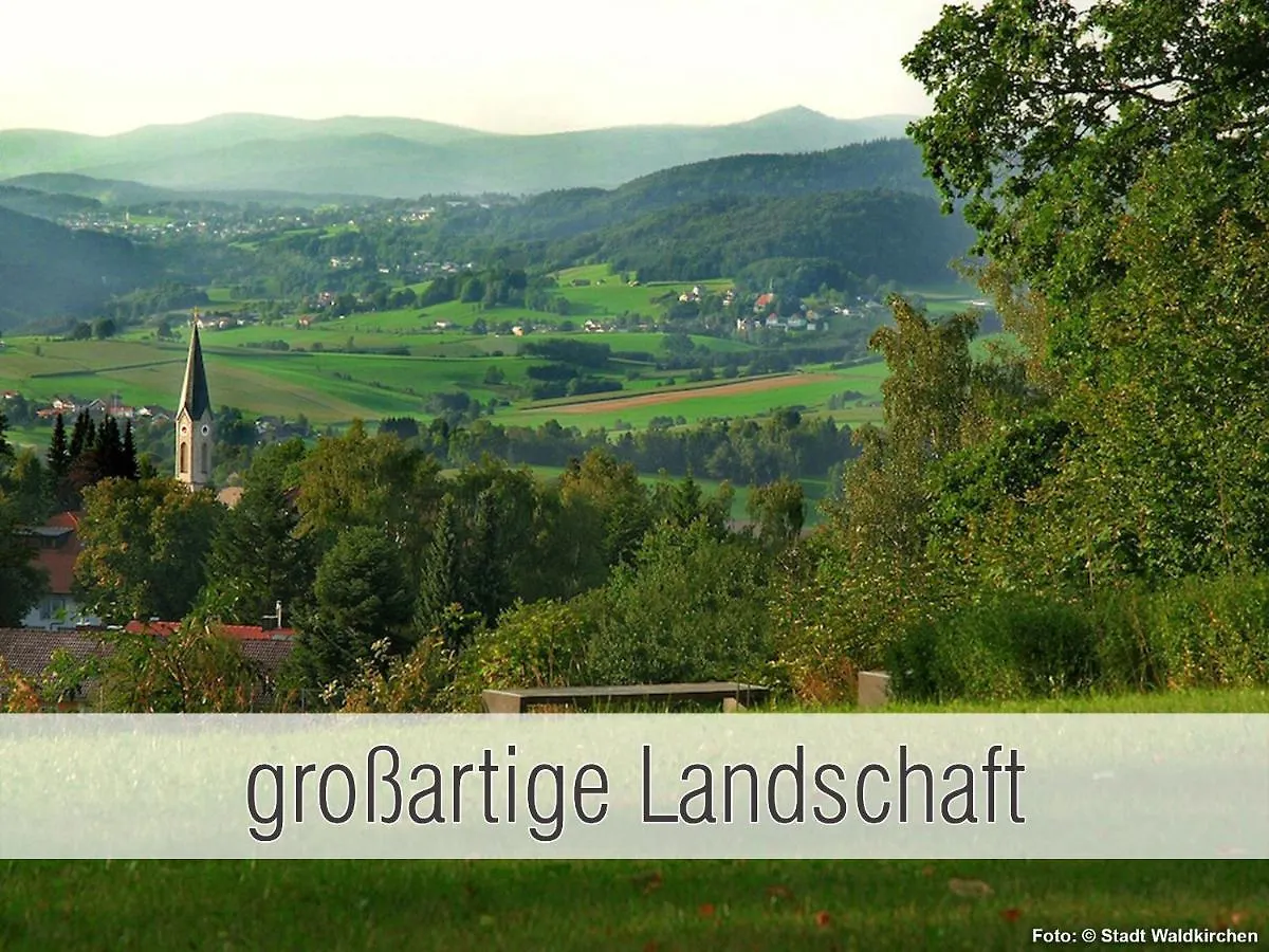Huette41: Ganze Huette Nah Am See Mit Privatem Whirlpool, Sauna. Umzaeunt. Waldkirchen 0*,  Germany