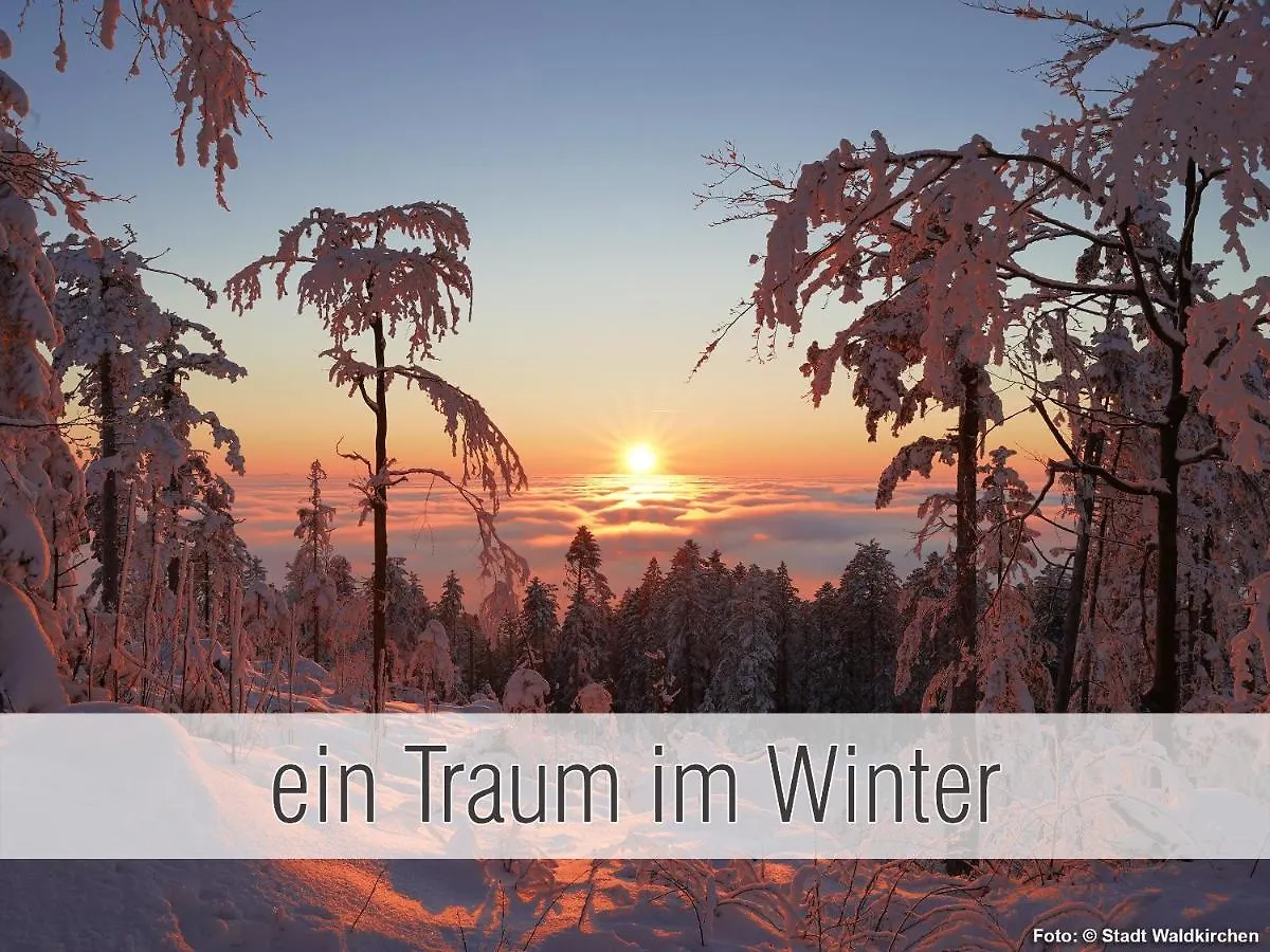 Huette41: Ganze Huette Nah Am See Mit Privatem Whirlpool, Sauna. Umzaeunt. Waldkirchen 0*,
