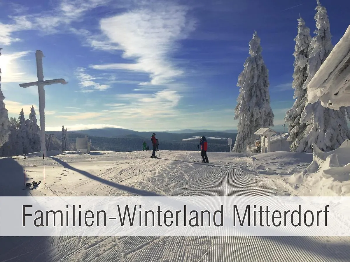 Huette41: Ganze Huette Nah Am See Mit Privatem Whirlpool, Sauna. Umzaeunt. Waldkirchen Holiday home
