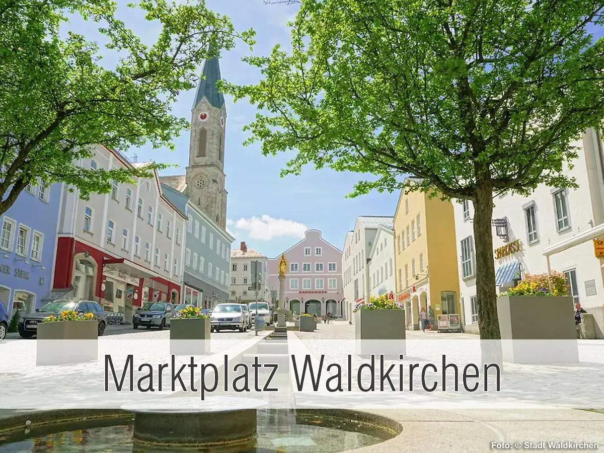 Huette41: Ganze Huette Nah Am See Mit Privatem Whirlpool, Sauna. Umzaeunt. Waldkirchen 0*,