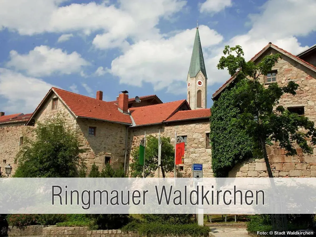 Huette41: Ganze Huette Nah Am See Mit Privatem Whirlpool, Sauna. Umzaeunt. Waldkirchen